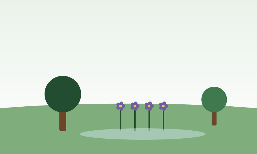 Low Maintenance Louisiana Landscaping Ideas for Humid Climates