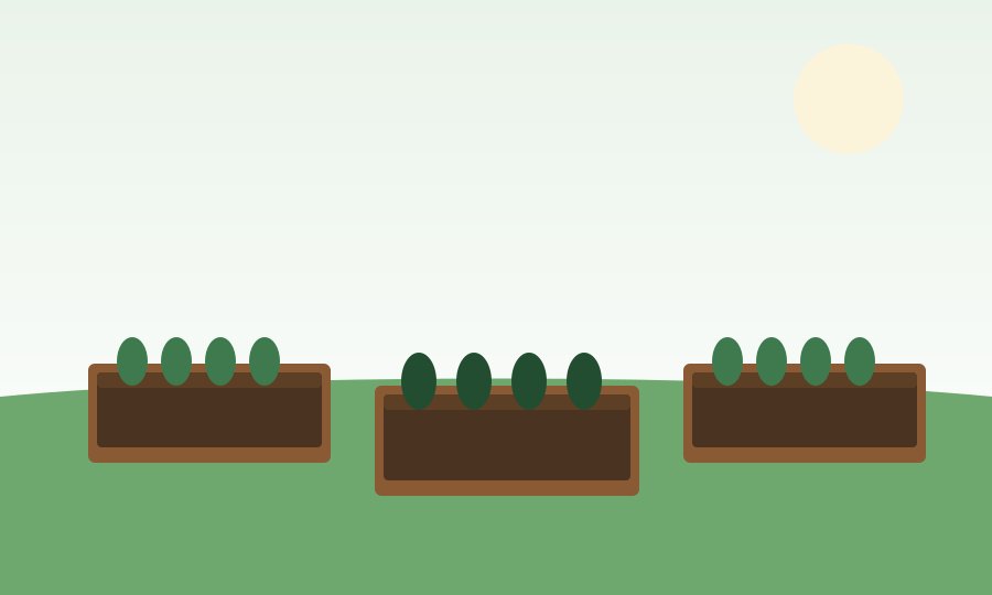 How to Start a Vegetable Garden From Scratch